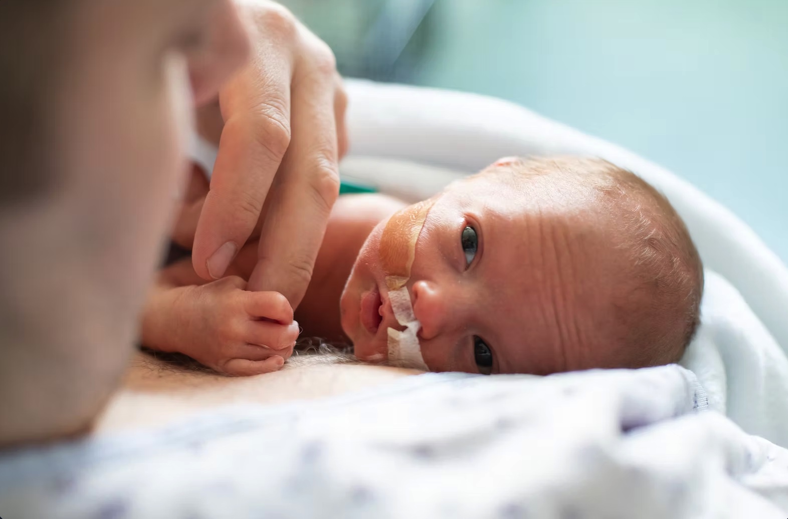 A premature infant resting skin-to-skin on a parent’s chest, a nasal feeding tube on its face, gripping the parent’s finger.